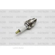 ����� ��������� (Standard) Gazel, Volga SPP3005 ����