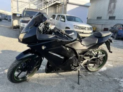 Kawasaki Ninja 250R