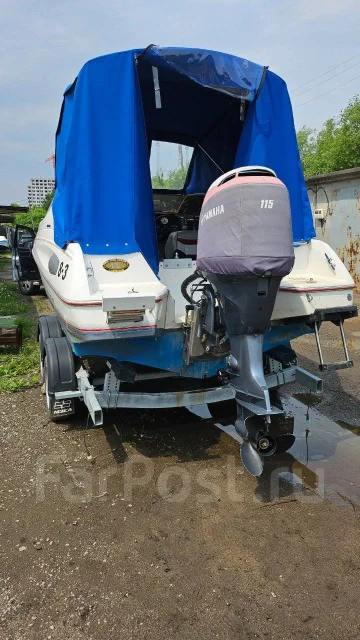 Bayliner. 2000 ���, ����� 6��., ��������� ���������, 115��.�., ������ ����