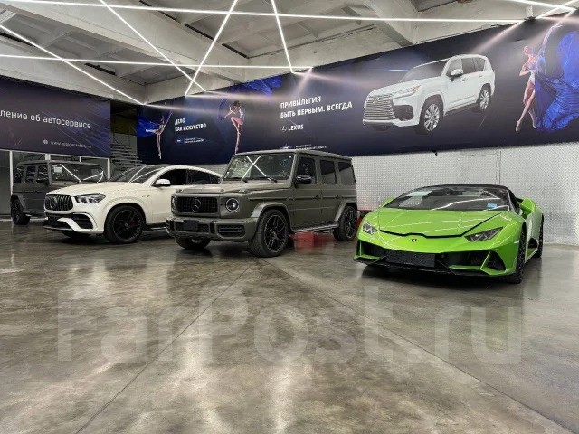 �����������-�����������. �� �������� ����� ���������. ����� ���������� 12� ����