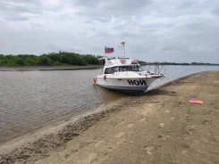 Bayliner. 1992 ���, ����� 8��., ��������� ������������, ������ ����