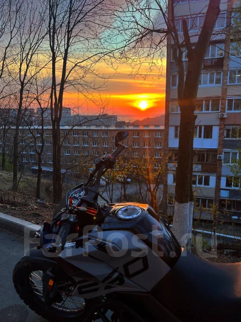 Fuego. 250����. ��., ��������, ���������, ������ �� �� ����