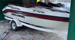 BRP Sea-Doo Challenger. 2003 ���, ��������� ������������, 240��.�., ������ ����