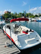 Stingray. 2005 ���, ����� 7��., ��������� ������������, 270��.�., ������ ����