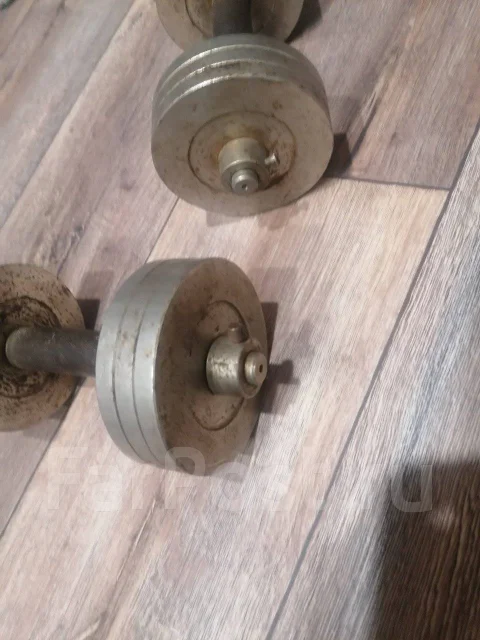 ������ ������� ����