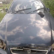 Honda Domani. MA71012810 ����