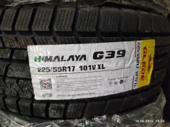 Glede Himalaya G39. ������, ��� �����, 2024 ���, ����� ����