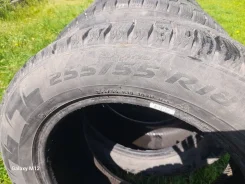Zetro Ice Edge. ������, ����������, 2024 ���, �/�, ����� �� 5 % ����