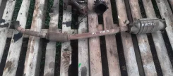 �������� ����� ��������� Primera P11 803017 ����