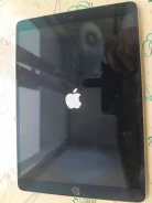 Apple ����