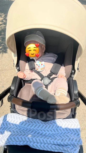 ����. ����