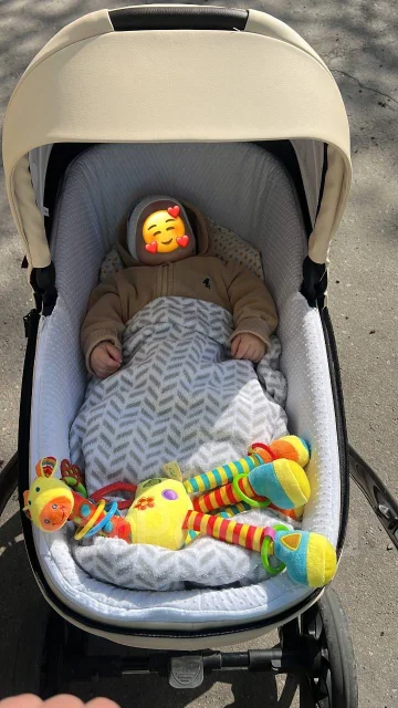 ����. ����