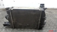 �������� ����������� Dacia Duster 2010-2017 20356256 144966051R ����