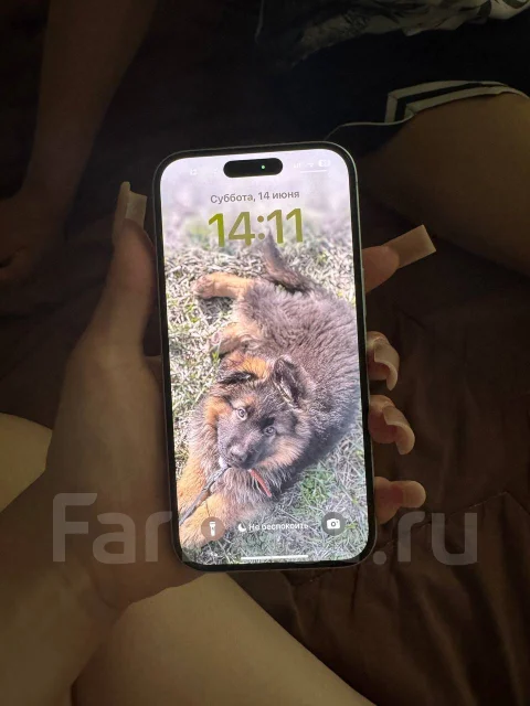 Apple iPhone 15. �/�, 128 ��, �����, Dual-SIM ����
