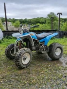 Yamaha YFS 200. ��������, ��� ���\���, �� ����