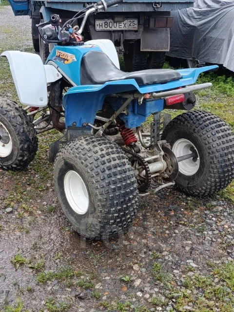 Yamaha YFS 200. ��������, ��� ���\���, �� ����
