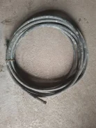 ����� ��������� ����
