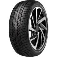 Roadstone Winguard Ice Plus