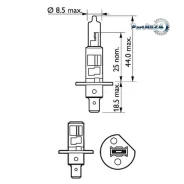 ����� H1 12V 55W P14.5s VisionPlus (������� 1��. ) Philips 12258VPB1 12258VPB1 ����