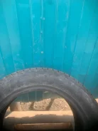 Streamstone. ������, ��� �����, 2023 ���, �/�, ����� 80 % ����
