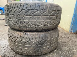 Tigar Winter. ������, ��� �����, 2021 ���, �/�, ����� 10 % ����