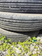 Dunlop SP 110. ������, �/�, ����� 5 % ����