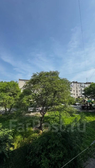�������, ����� ��������� 3. ���-�����, ���������, 18���.��., 3/5 ����. ��� �� ���� ���� ����