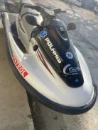 Polaris Genesis ����