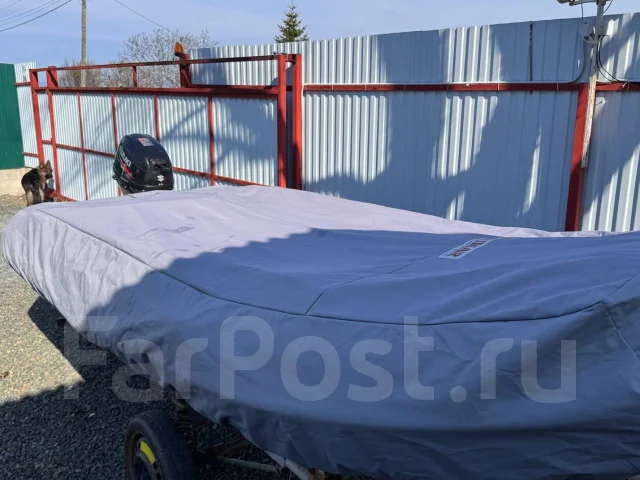 ���������. 2018 ���, ����� 3,8��., ��������� ���������, 20��.�., ������ ����