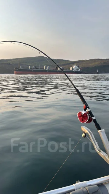 ���������. 2018 ���, ����� 3,8��., ��������� ���������, 20��.�., ������ ����