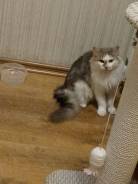 �����. ����