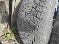 Zeta Antarctica Sport SUV. ������, ����������, 2019 ���, �/�, ����� 10 % ����