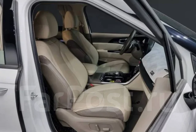 Kia Carnival. �������, ��������, 2.2 (202��.�.), ������, 30 000����. ��, �/�. ��� ����� �� ������������ ����