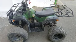 Grizzly. ��������, ��� ���\���, �� ����