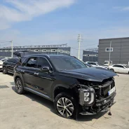 Hyundai Palisade. KMHR281ABKU003342, D4HB ����