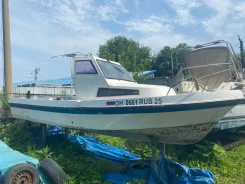 Yamaha Fish 22. 1990 ���, ����� 7��., ��������� ���������, 60��.�., ������ ����