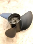 ����� �������. ����