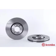 ���� ��������� ������. Citroen (DF-PSA) C5 01/09- / Citroen C5 III (RD_) 02/08- / Citroen C5 III Brembo 09A43010 - 09A43010 ����