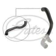 �������� ���������������� Gates 090824 - 090824 ����