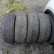 Presa PI14. �����������, 2018 ���, �/�, ����� 40 % ����