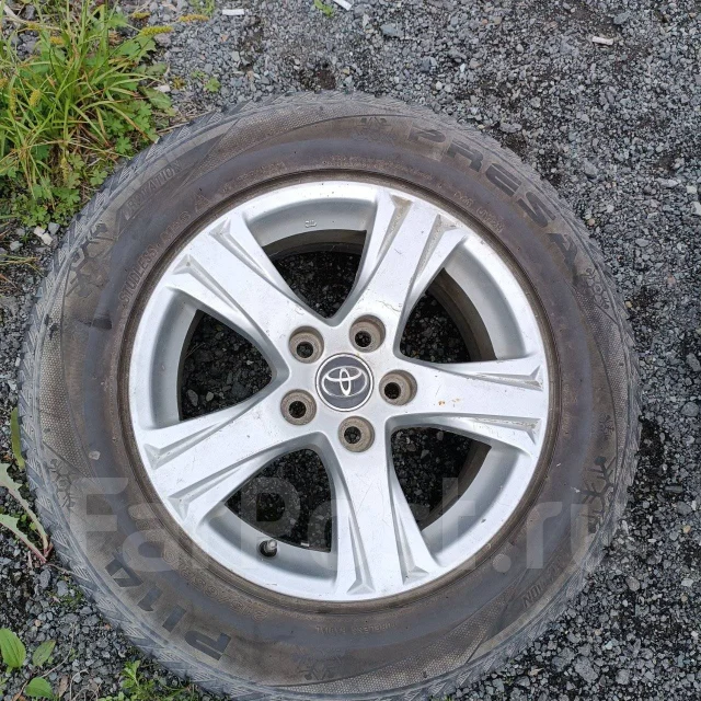 Presa PI14. �����������, 2018 ���, �/�, ����� 40 % ����