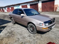 Toyota Corolla. �������, ��������, 1.3, ������ ����