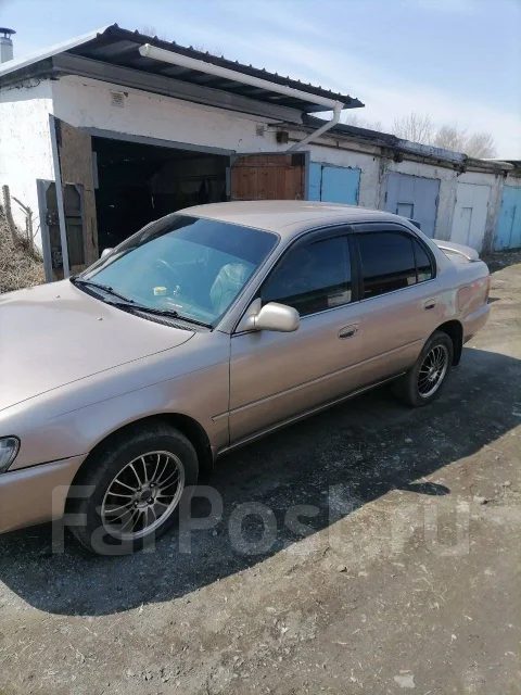 Toyota Corolla. �������, ��������, 1.3, ������ ����