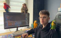    ,  | 15%    