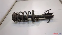 ����������� �������� Nissan Qashqai 2006-2013 20368051, ������ �������� E4302BR00B ����