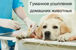 ����������. ����