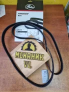 ������ ��� 5384XS 77281X30 HSN Gates 5384XS ����