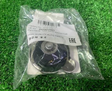 ������ ��������� Hyundai RAON CYA213 CYA213 ����