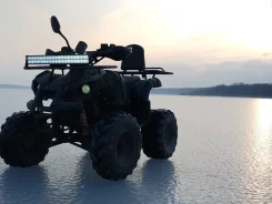 Yamaha Grizzly 125. ��������, ��� ���\���, �� ����