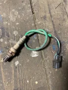 ������ ����������� ������ ����� ������� 36531P2EG01 ����
